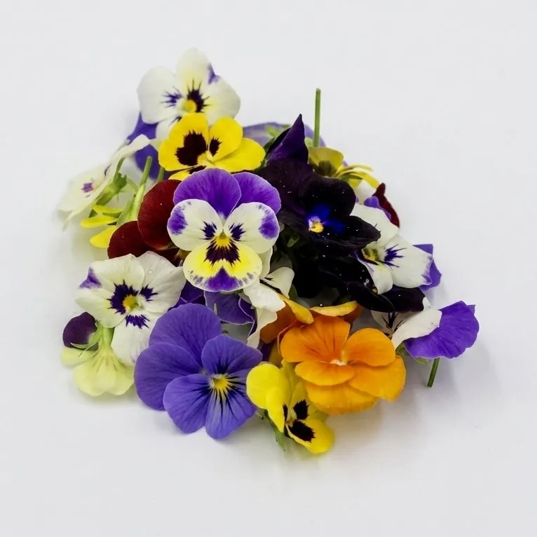 Fiore Edibile Viole